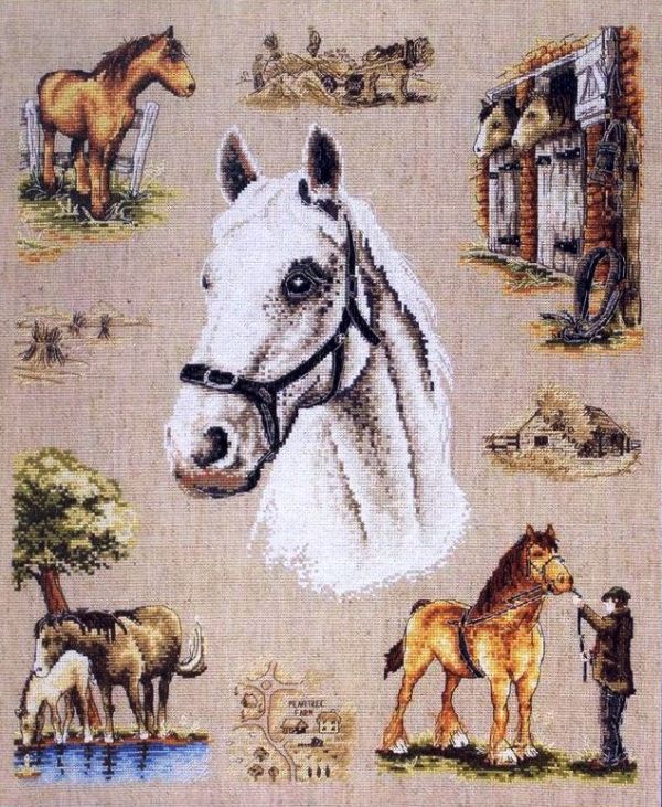 Вышивка крестом Семплер с лошадками