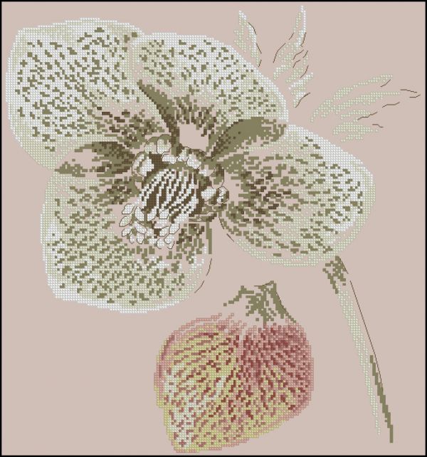 Вышивка крестом Орхидея монохром