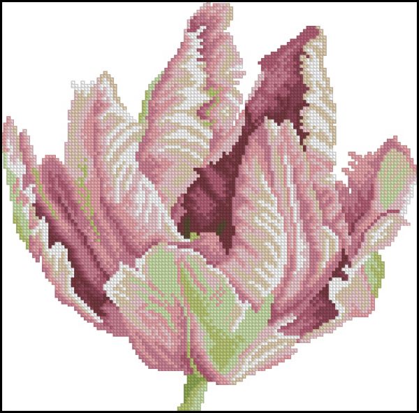 Вышивка крестом Бутон тюльпана