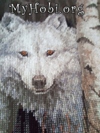 Dimensions "Белое чудо" - вышивка крестом