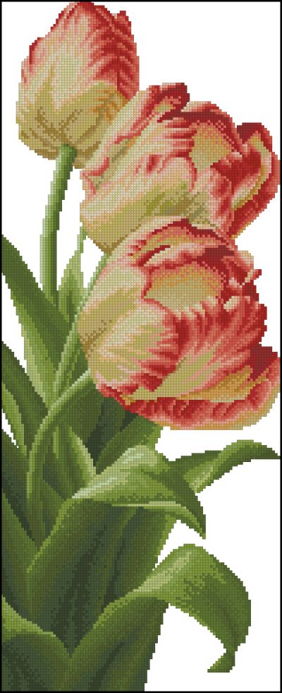 схема для вышивки крестом Красивые тюльпаны