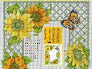 Яркие подсолнухи