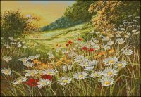 Anchor APC936 Evening Sun