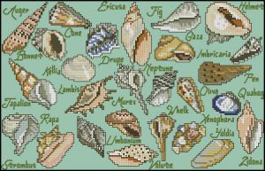 Коллаж из ракушек