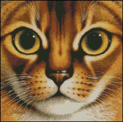 Вышивка крестом Взгляд кошки-3