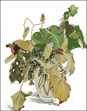 Гроздья винограда