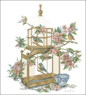 Клетка с птицами