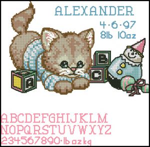 Запись о рождении котенка