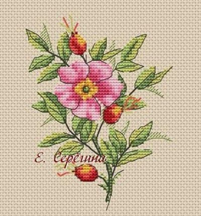 схема для вышивки крестом Веточка шиповника