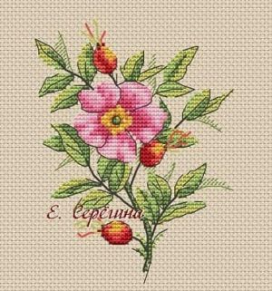 Веточка шиповника