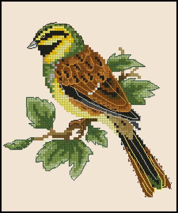 Вышивка крестом На ветке