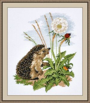 Любопытный ёжик