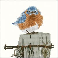 Безумная синяя птица