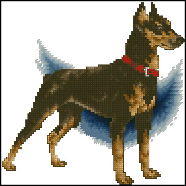 Вышивка крестом Доберман