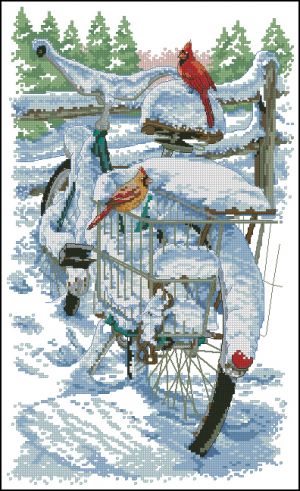 Велосипедные птицы