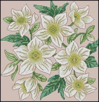 CS RU 2009-2(51) Snowy Flowers