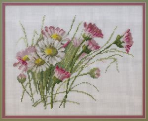 Маргаритки