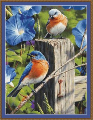 Птицы на заборе