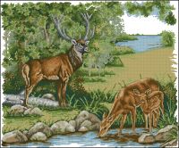 Anchor APC901 Monarch of the Glen