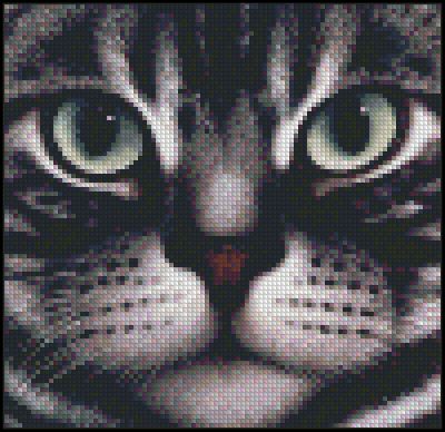 Вышивка крестом Взгляд кошки-4