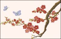 CS Korea 32 Theme Travel