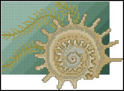 Вышивка крестом Ракушка - натюрморт