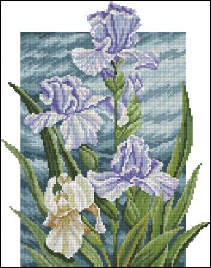 Floral Kingdom Irises