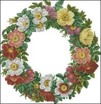 EMS147 Roses of the Good Old Days