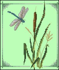 Anchor PCE552 Bull Rush and Dragonfly