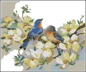 Птицы с кизилом