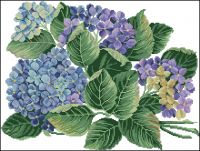 ER 14-259 Hydrangea
