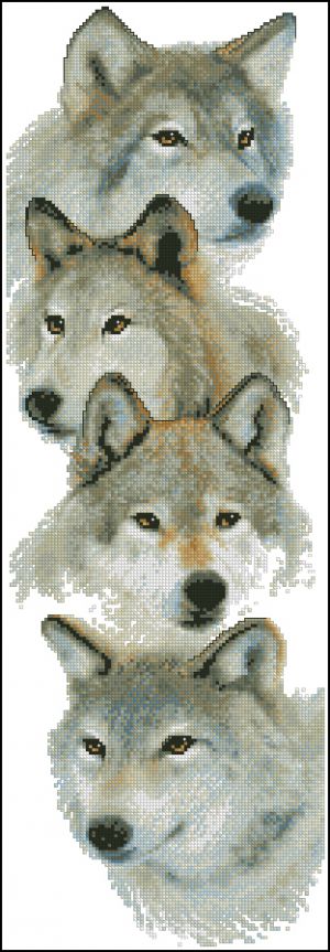 Четверка волков