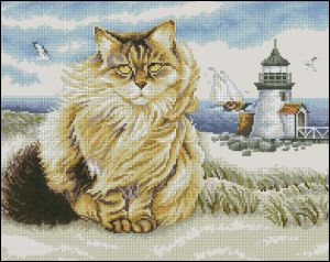 Cat Botsman