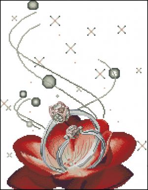 Кольца в красном цветке