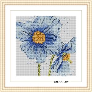 Голубые маки