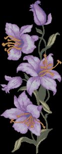 ASLegasy BlueBells