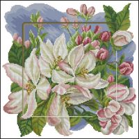 ChM 2009 5-6 Yablonevi zvet