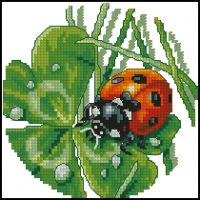 Anchor Royal Paris Coccinelle