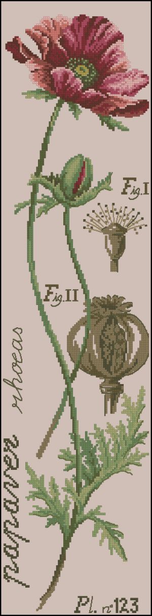 Вышивка крестом Бордовый мак из серии ботаника