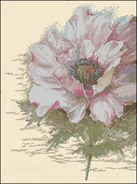 схема для вышивки крестом Анемона