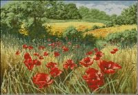 Anchor APC935 A host of poppies