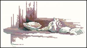 Ракушки на окне