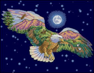 Взгляд ночи