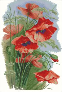 Красные маки