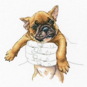 Тепло ладоней - щенок 2