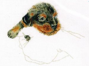 Тепло ладоней - щенок