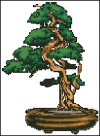 Bonsai 2