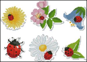 Божьи коровки на цветах