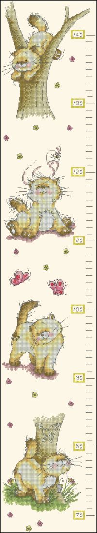 Anchor STC05 Solo Height Chart