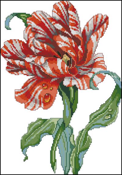 Вышивка крестом Тюльпан